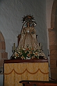 Kanary_2010 053